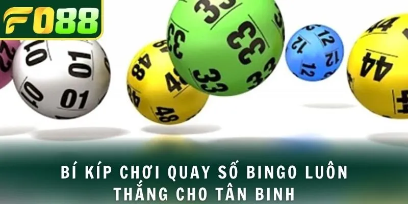 Bí kíp chơi quay số bingo luôn thắng cho tân binh