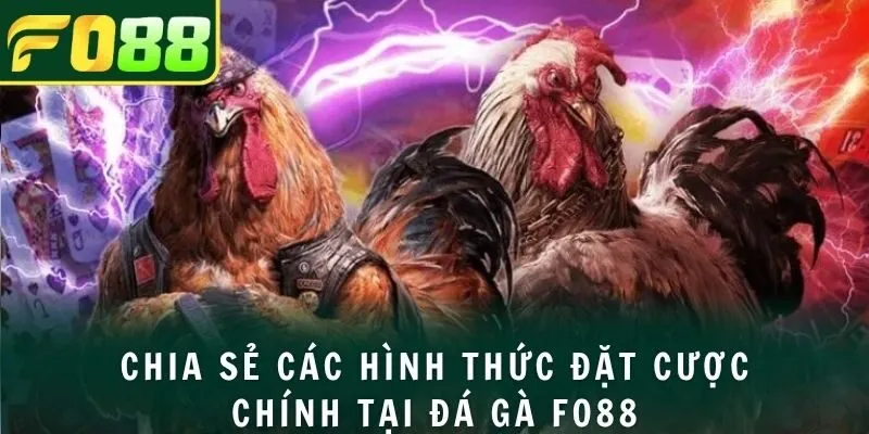 Chia sẻ các hình thức đặt cược chính tại đá gà FO88