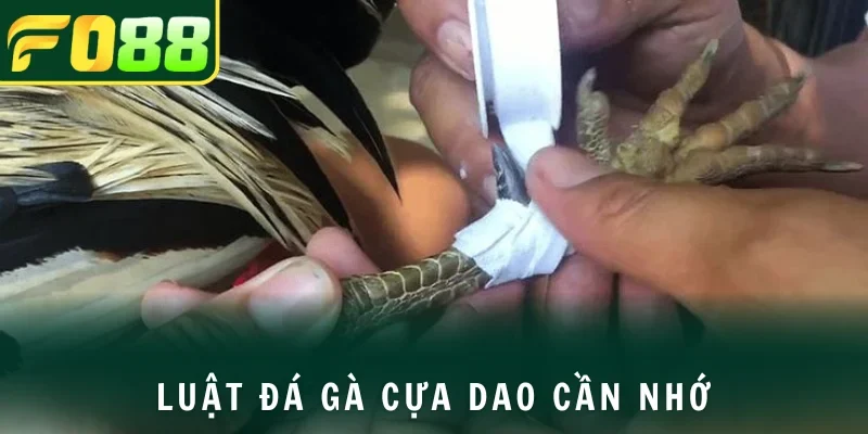 Luật lệ cơ bản của chọi gà gắn cựa dao