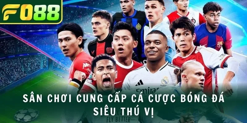 Sân chơi cung cấp cá cược bóng đá siêu thú vị