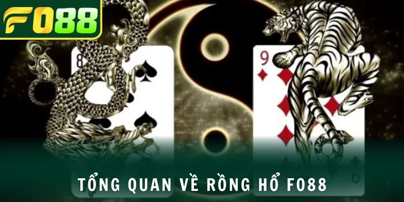 Đôi điều hấp dẫn về Rồng Hổ FO88