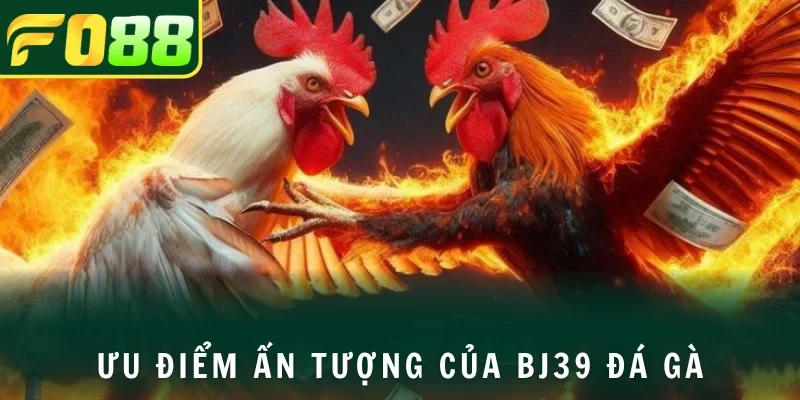Đặc trưng tạo ấn tượng của sân chơi đá gà BJ39