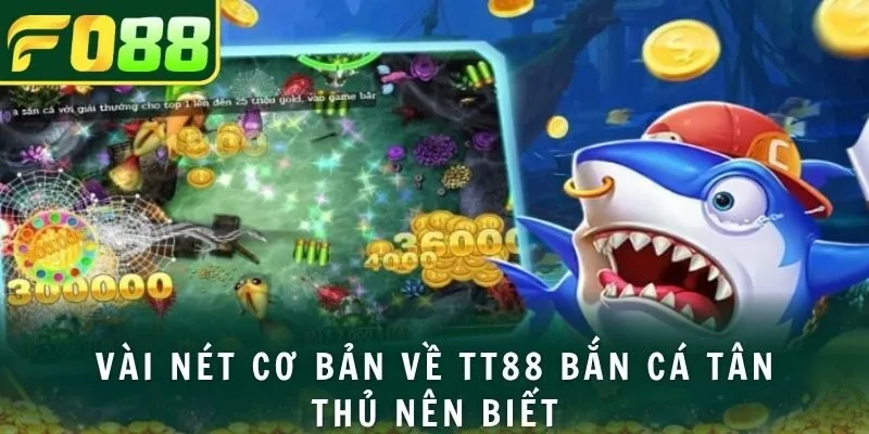 Vài nét cơ bản về tt88 bắn cá tân thủ nên biết